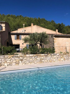 Entre lavande et oliviers